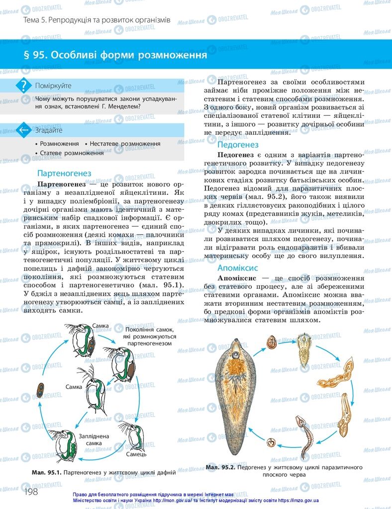 ГДЗ Біологія 10 клас сторінка  198