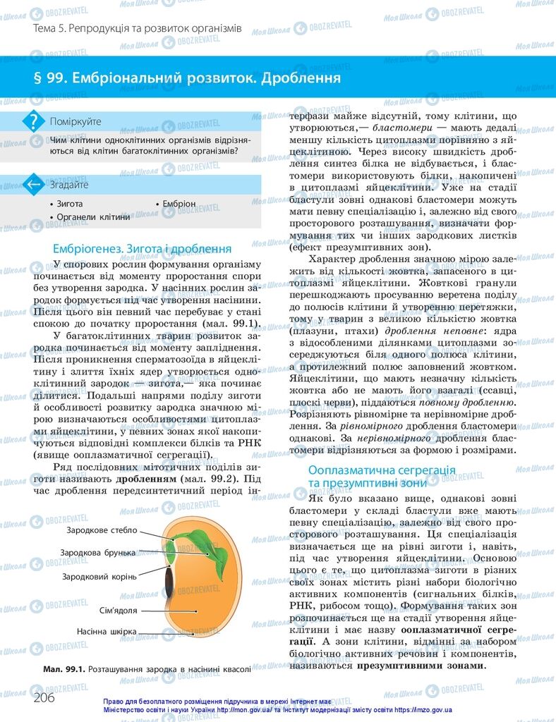 ГДЗ Биология 10 класс страница  206