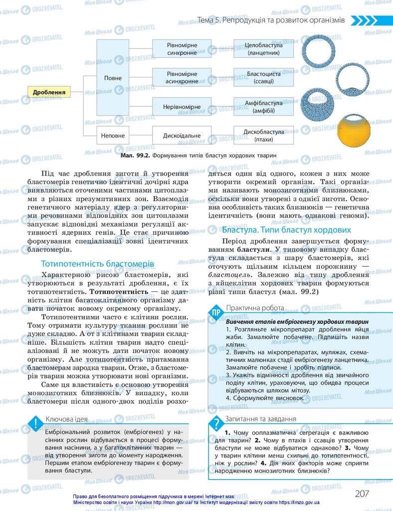 ГДЗ Биология 10 класс страница  207