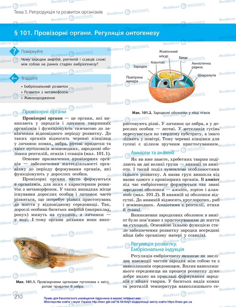 ГДЗ Біологія 10 клас сторінка  210