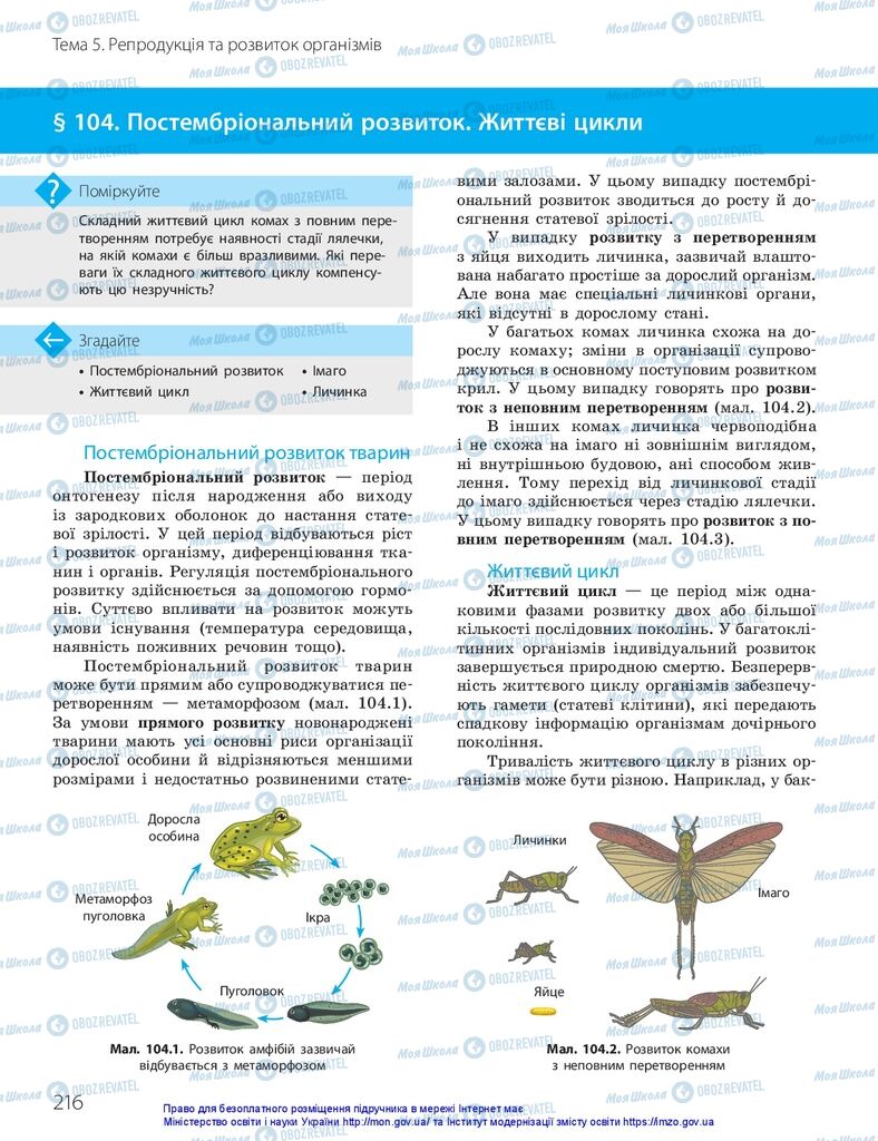 ГДЗ Біологія 10 клас сторінка  216