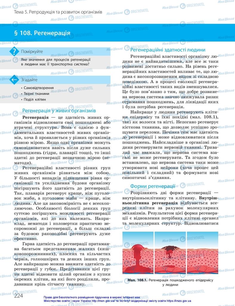 ГДЗ Биология 10 класс страница  224