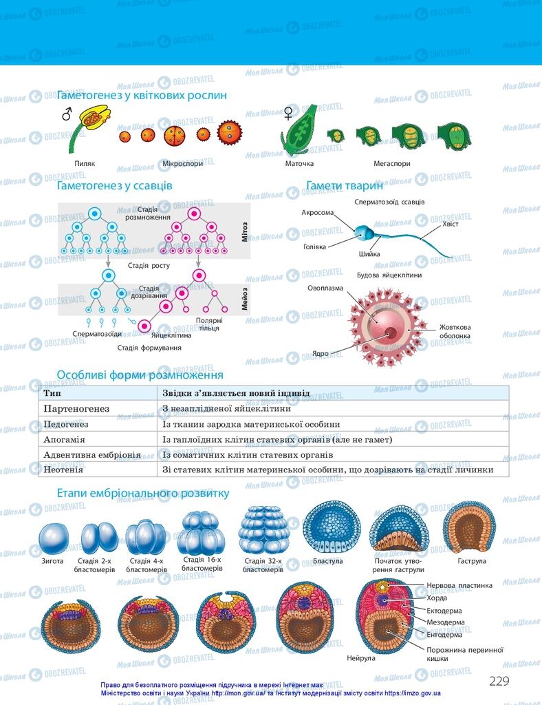 ГДЗ Біологія 10 клас сторінка  229