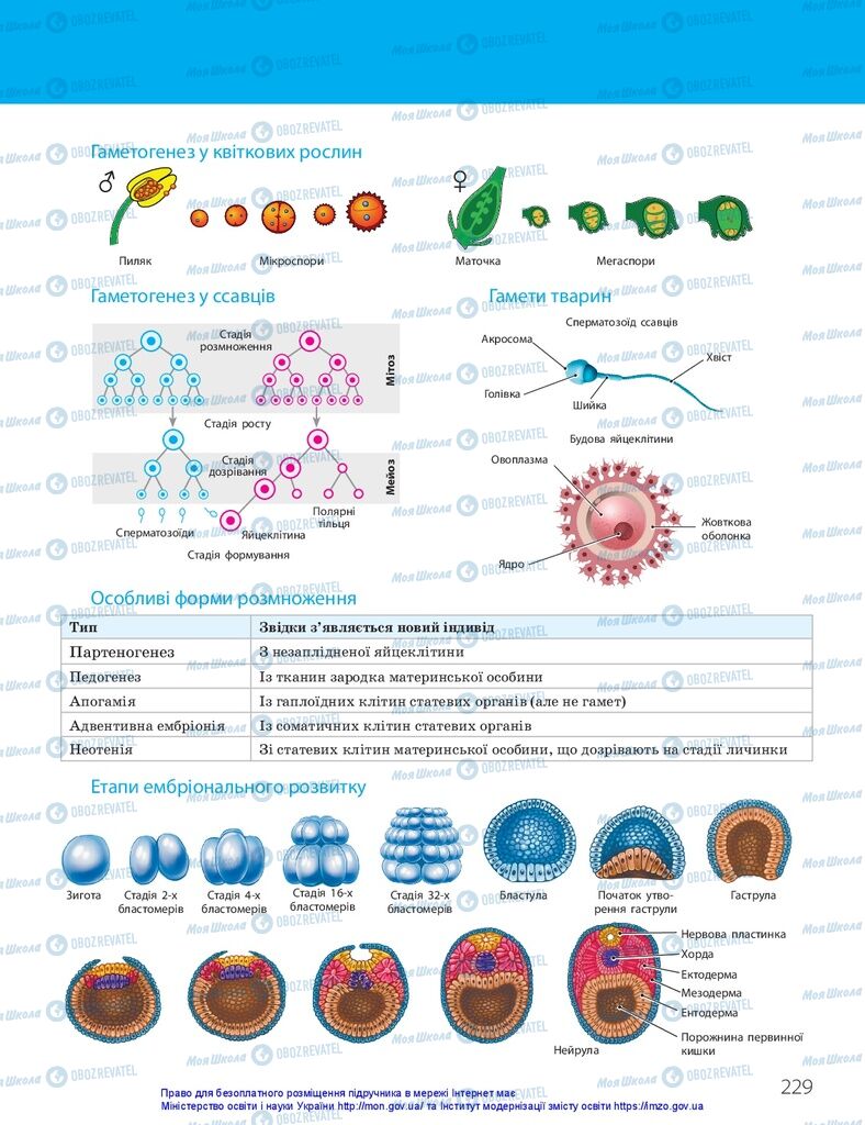 ГДЗ Біологія 10 клас сторінка  229