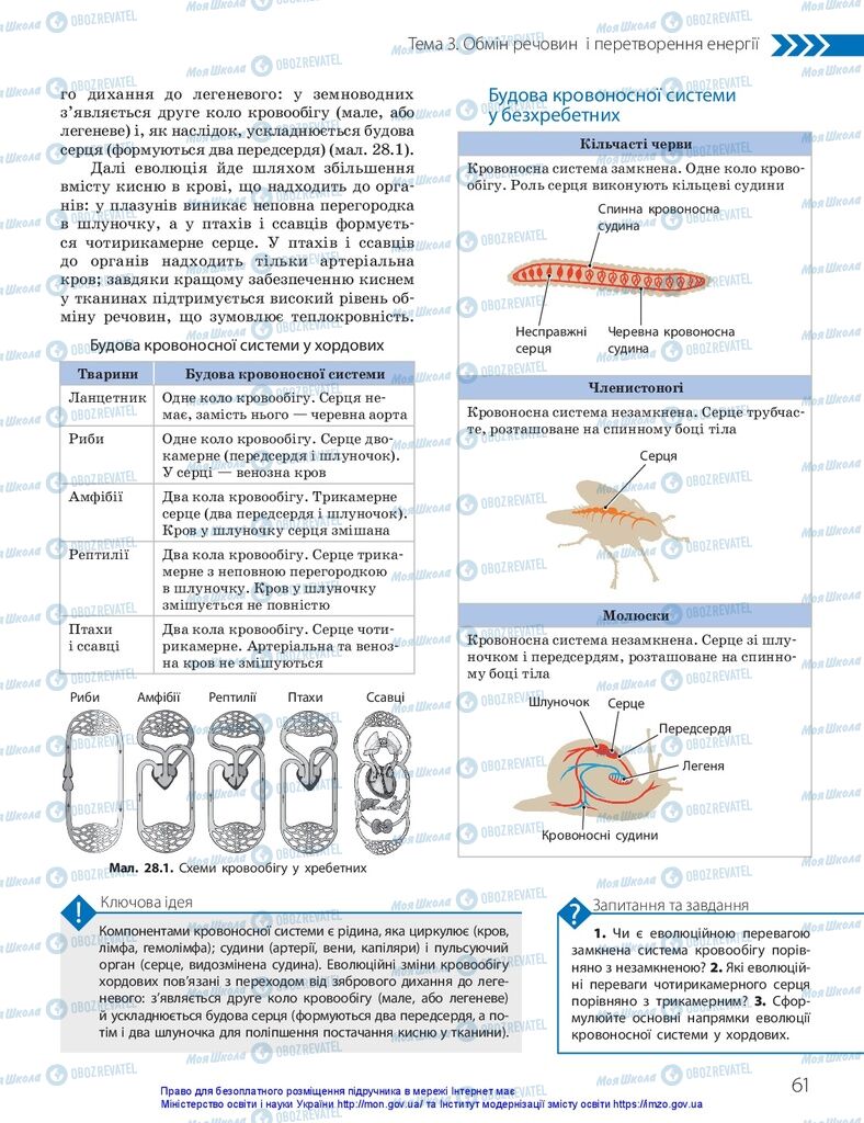 ГДЗ Біологія 10 клас сторінка  61