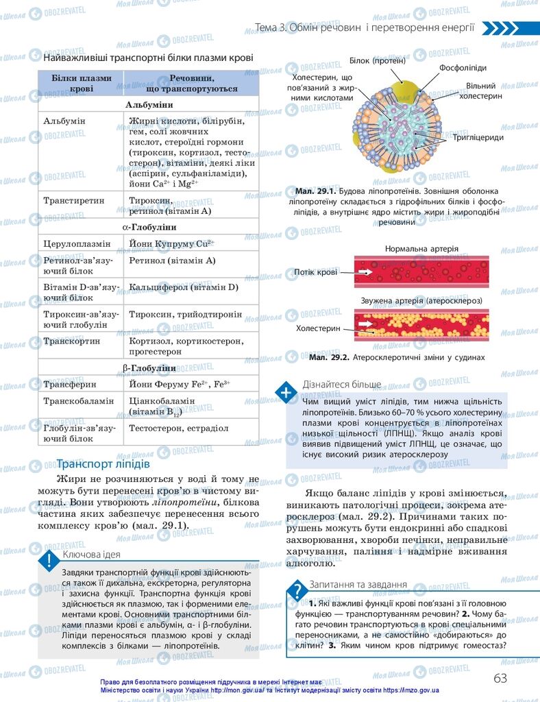 ГДЗ Биология 10 класс страница  63