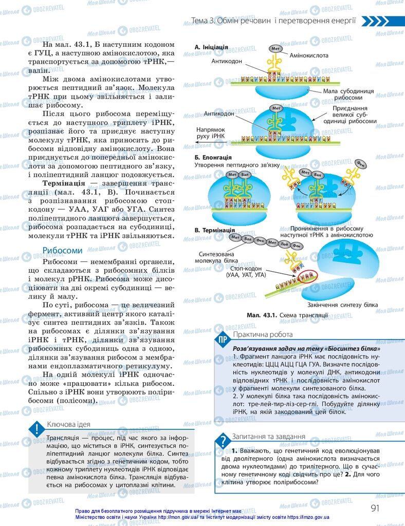 ГДЗ Біологія 10 клас сторінка  91