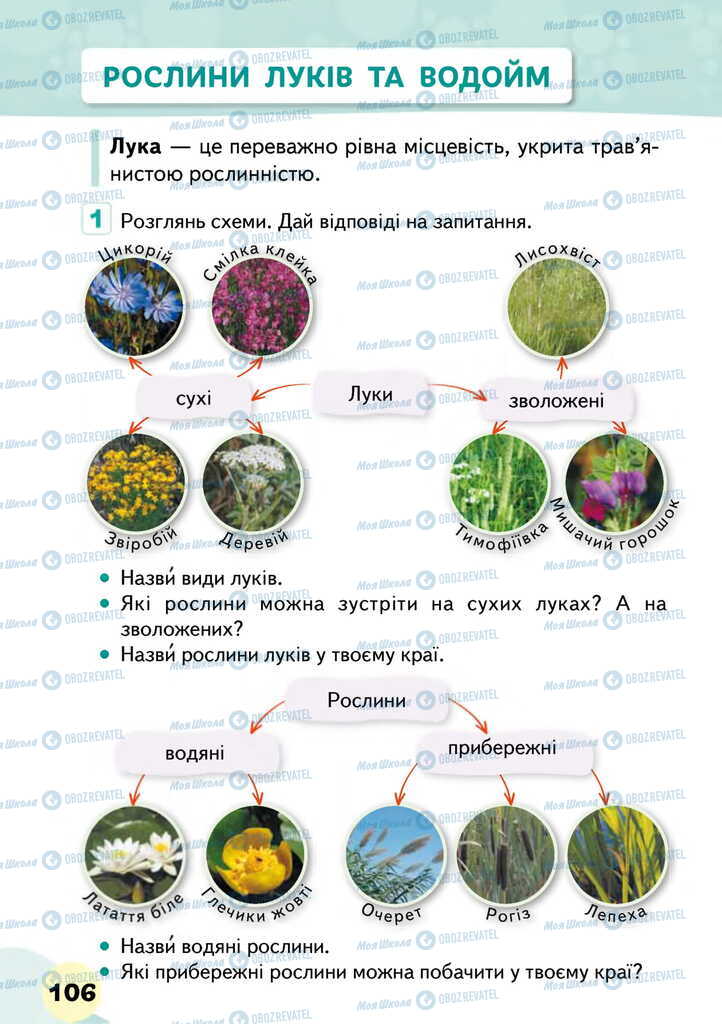 Підручники Я досліджую світ 2 клас сторінка 106