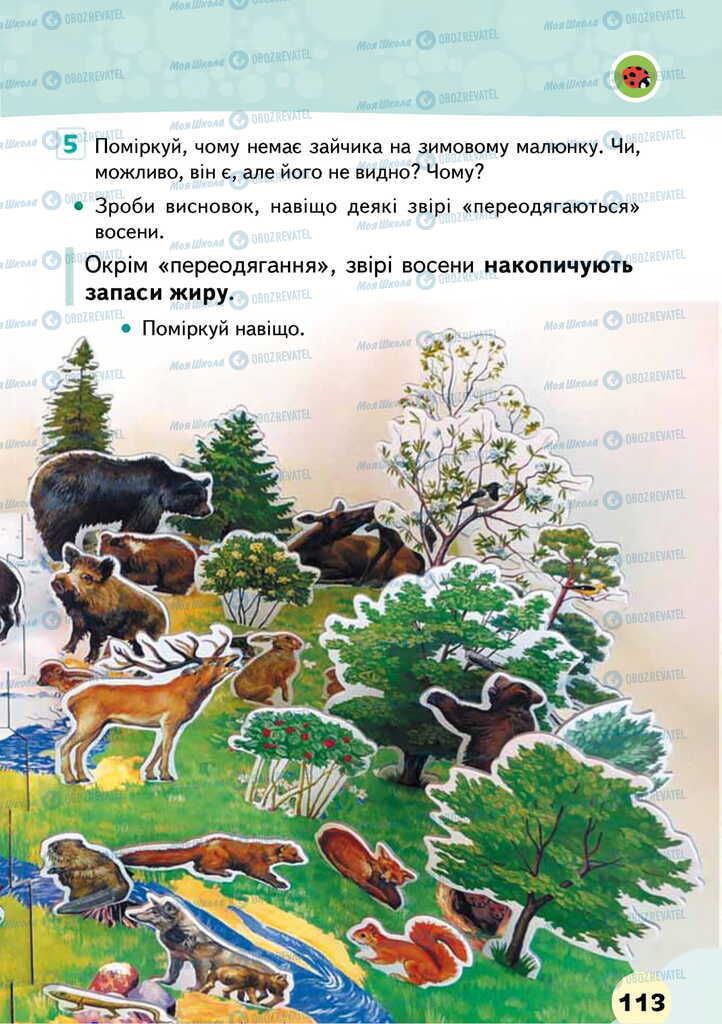 Підручники Я досліджую світ 2 клас сторінка 113