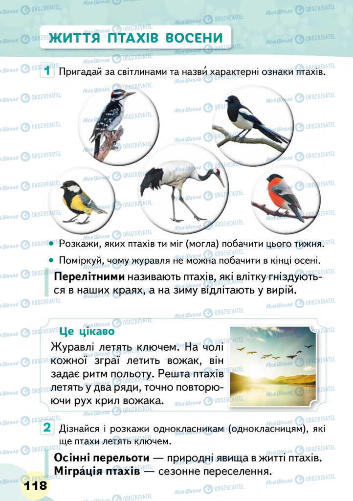 Підручники Я досліджую світ 2 клас сторінка 118