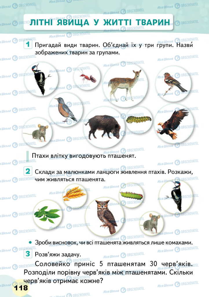 Підручники Я досліджую світ 2 клас сторінка 118