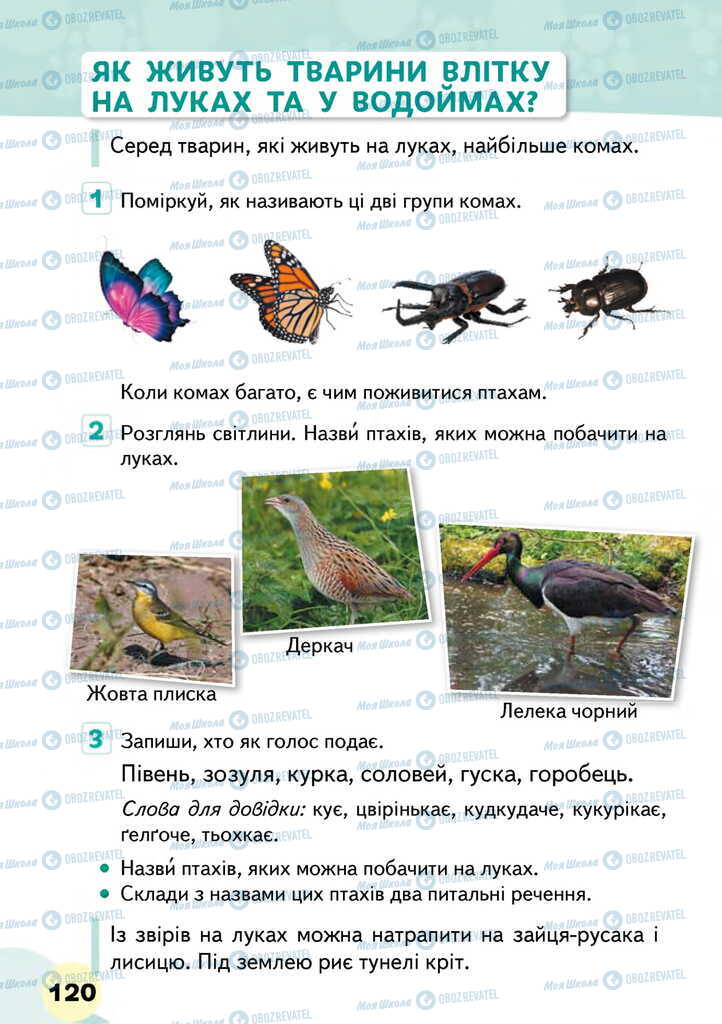 Підручники Я досліджую світ 2 клас сторінка 120