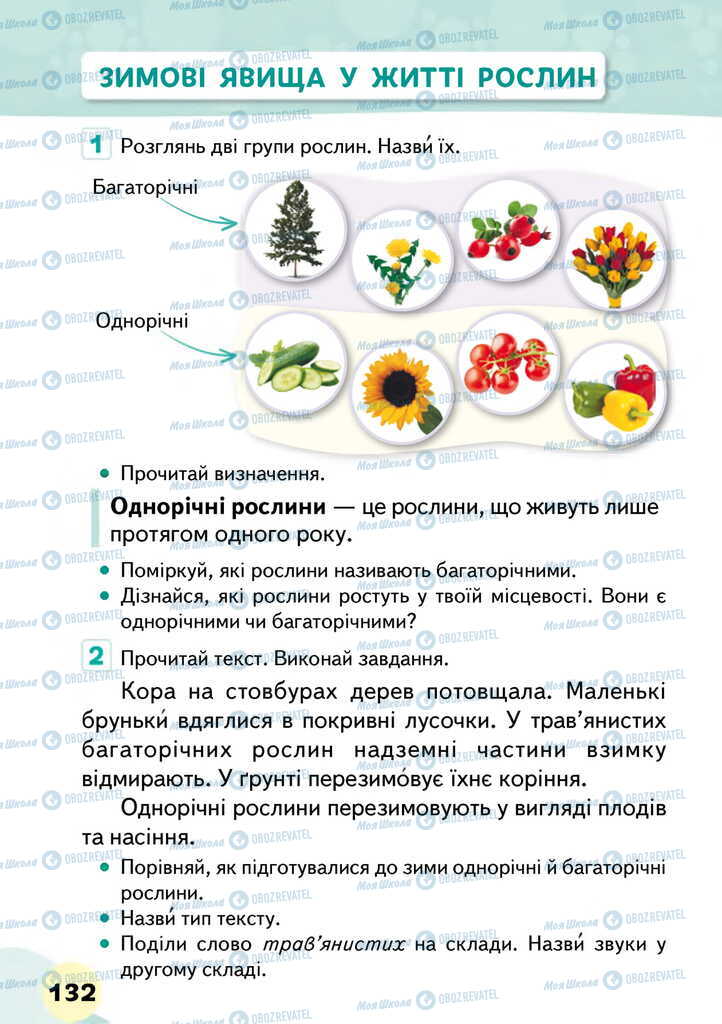 Підручники Я досліджую світ 2 клас сторінка 132