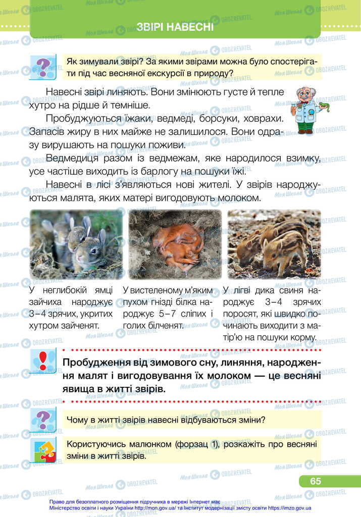 Підручники Я досліджую світ 2 клас сторінка  65