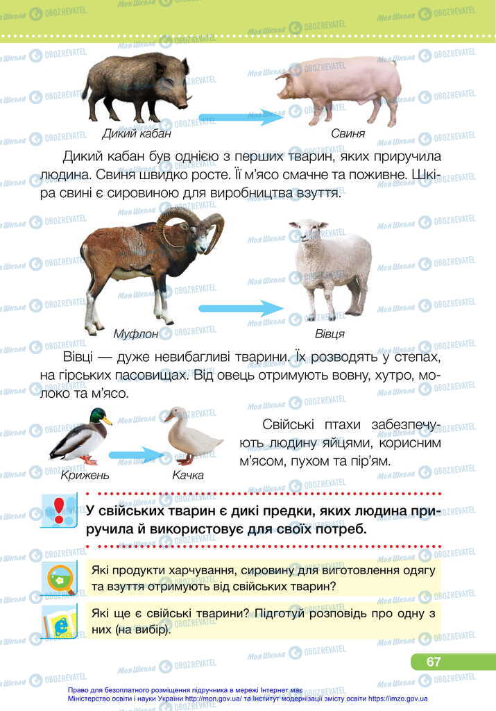 Підручники Я досліджую світ 2 клас сторінка 67