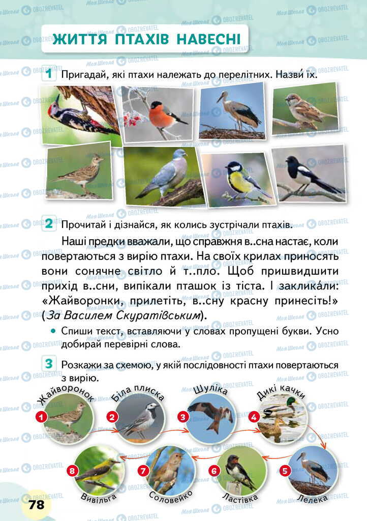 Підручники Я досліджую світ 2 клас сторінка 78