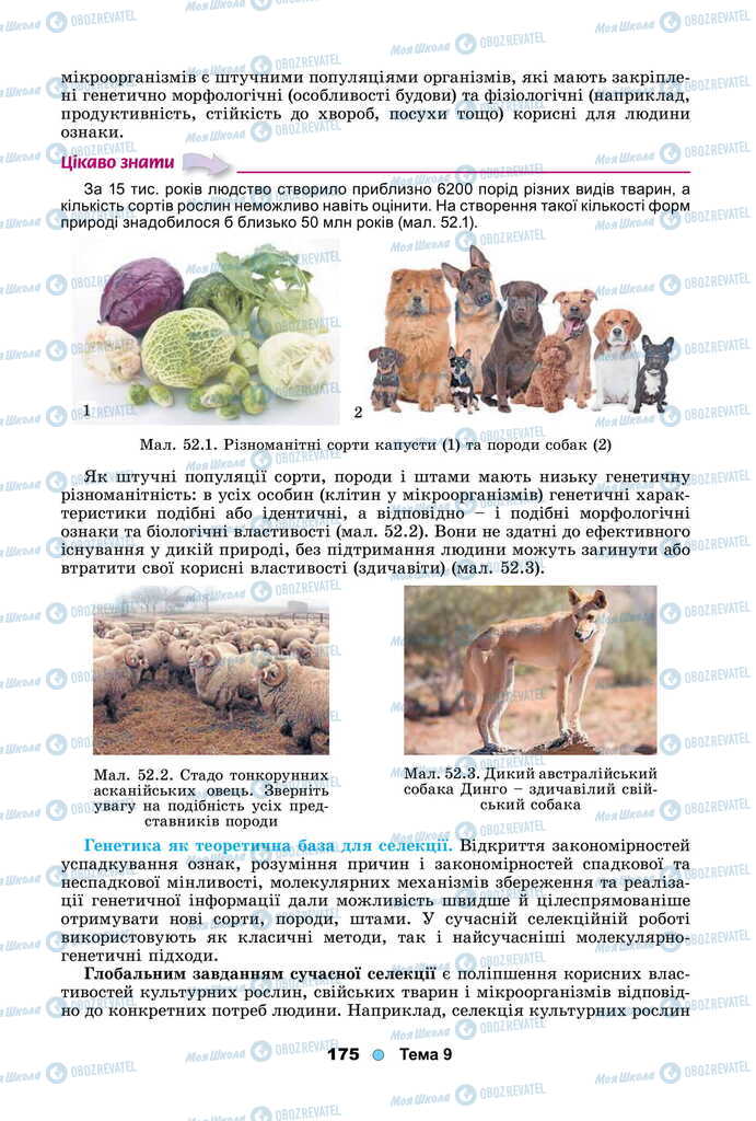 Підручники Біологія 11 клас сторінка 175