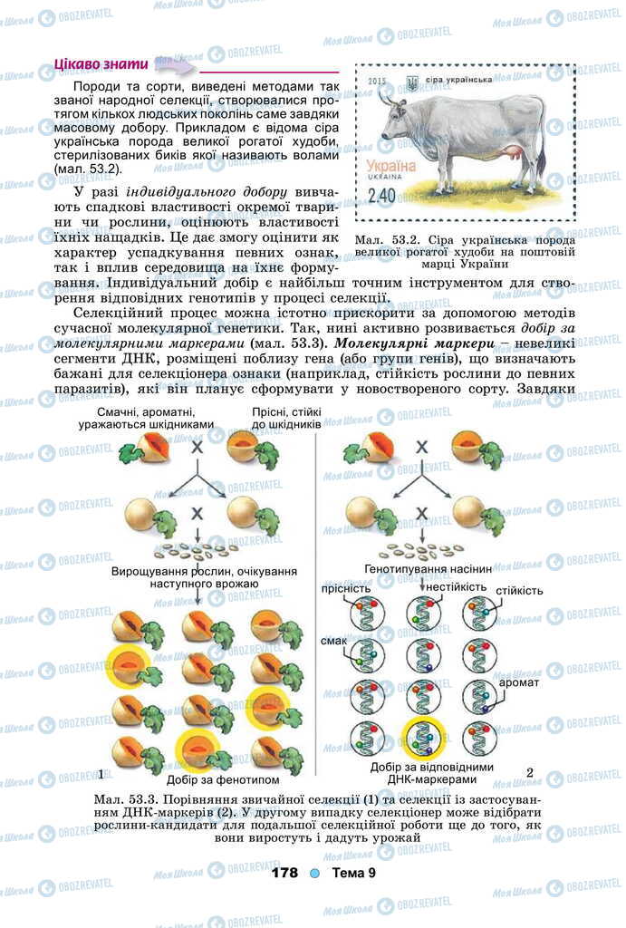 Учебники Биология 11 класс страница 178