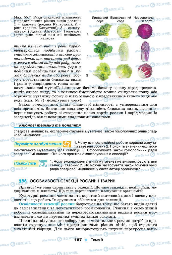Підручники Біологія 11 клас сторінка 187
