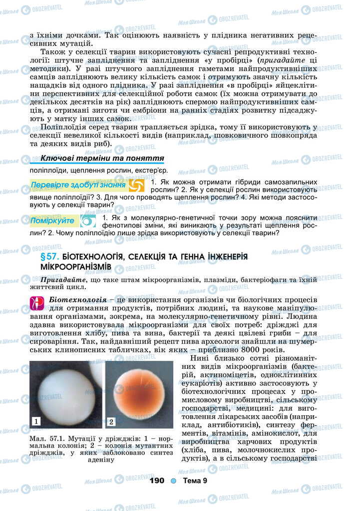 Підручники Біологія 11 клас сторінка 190