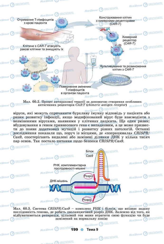 Підручники Біологія 11 клас сторінка 199