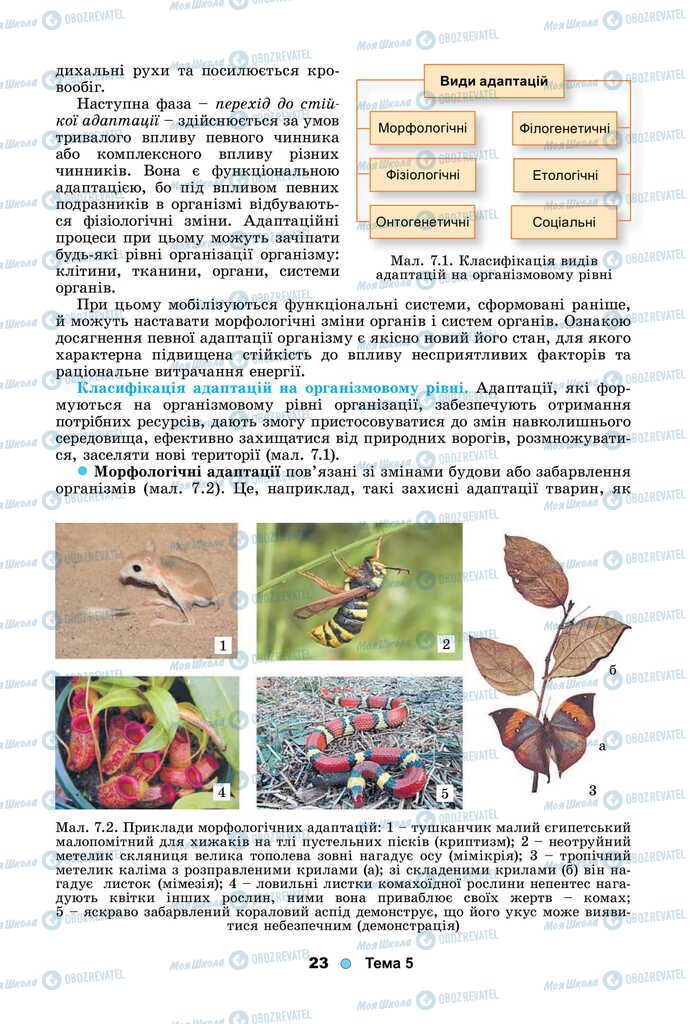 Підручники Біологія 11 клас сторінка 23