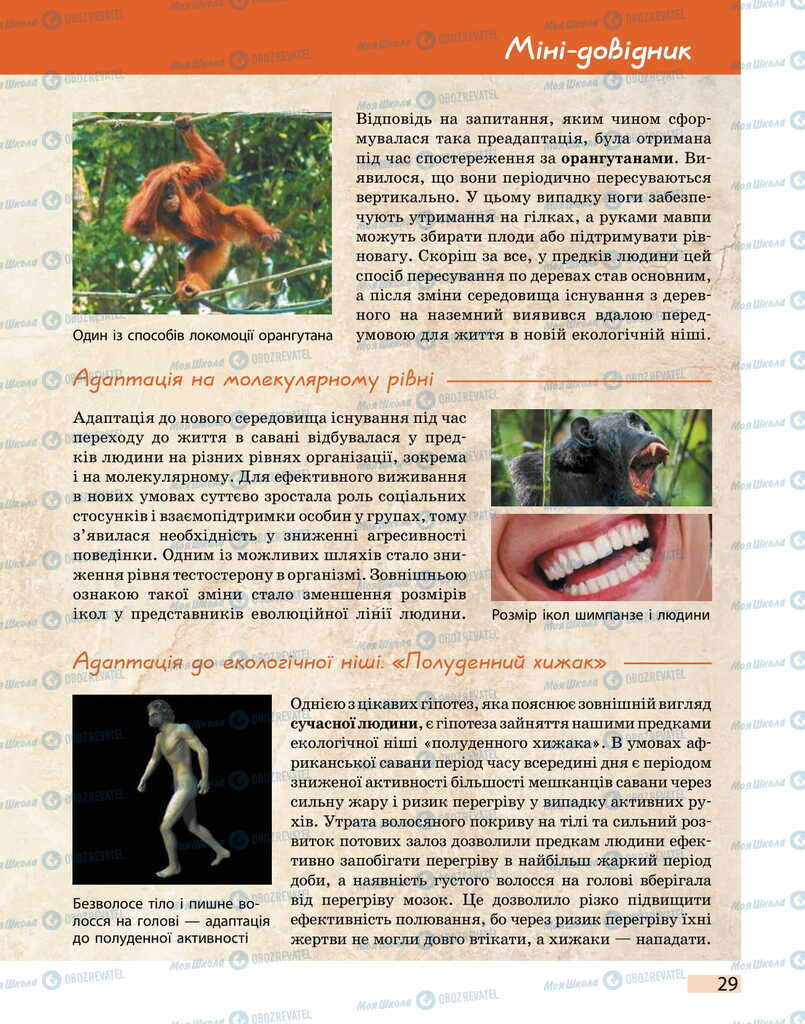 Учебники Биология 11 класс страница 29