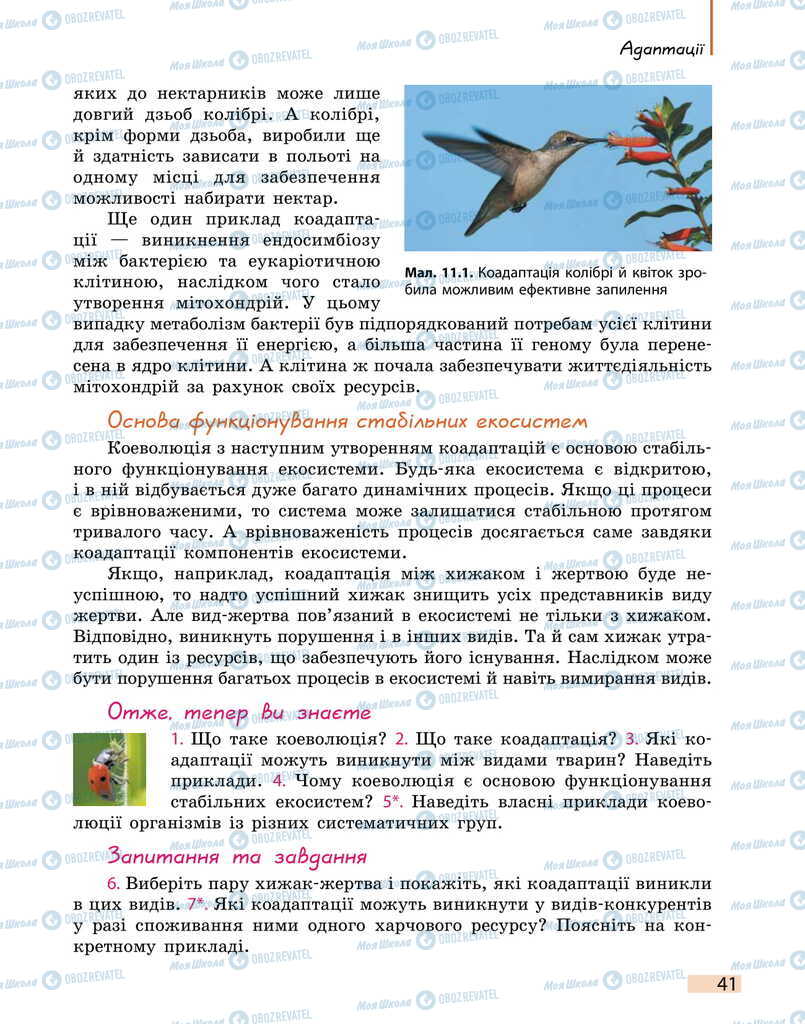 Підручники Біологія 11 клас сторінка 41