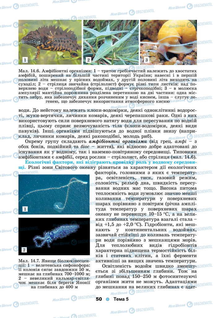 Підручники Біологія 11 клас сторінка 50