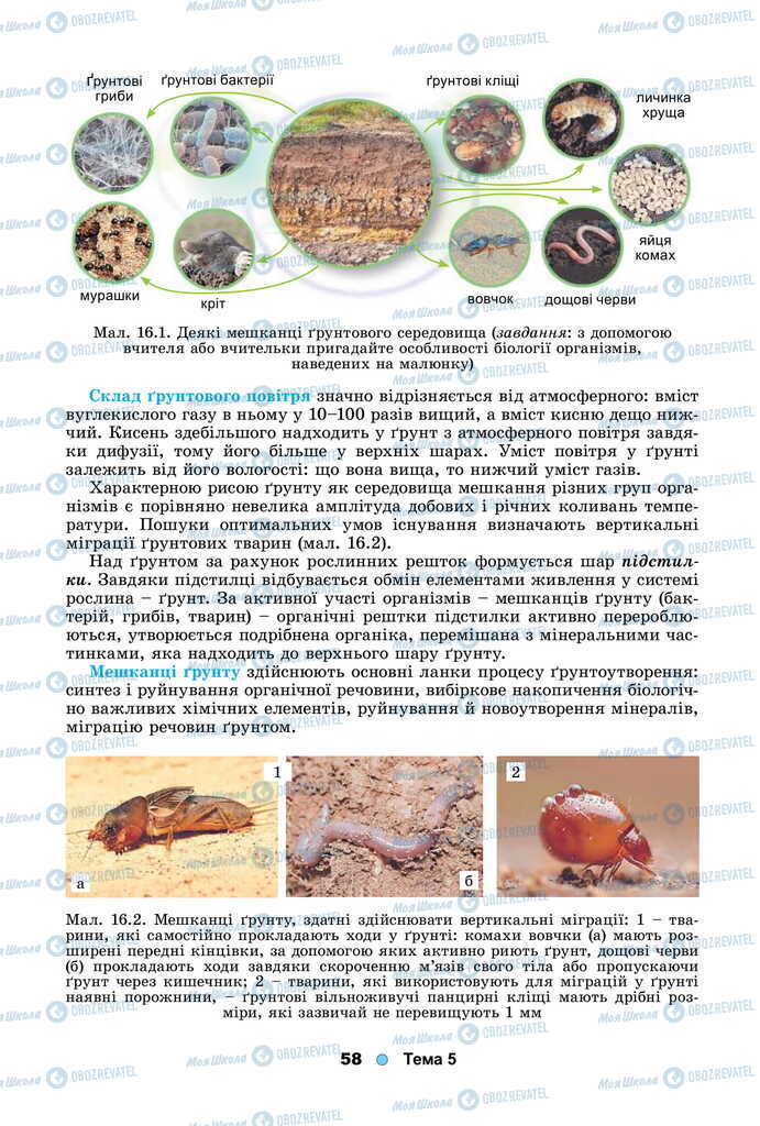 Підручники Біологія 11 клас сторінка 58