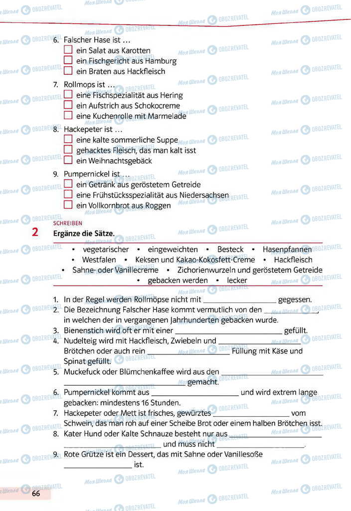 Підручники Німецька мова 11 клас сторінка 66
