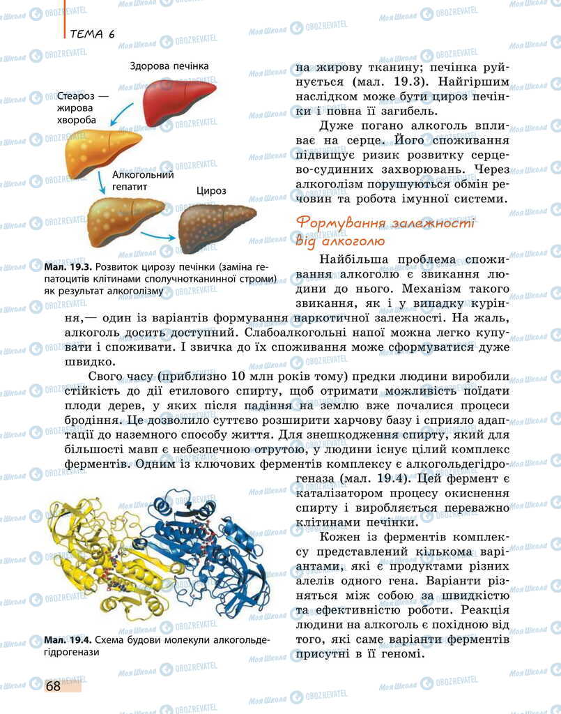 Учебники Биология 11 класс страница 68