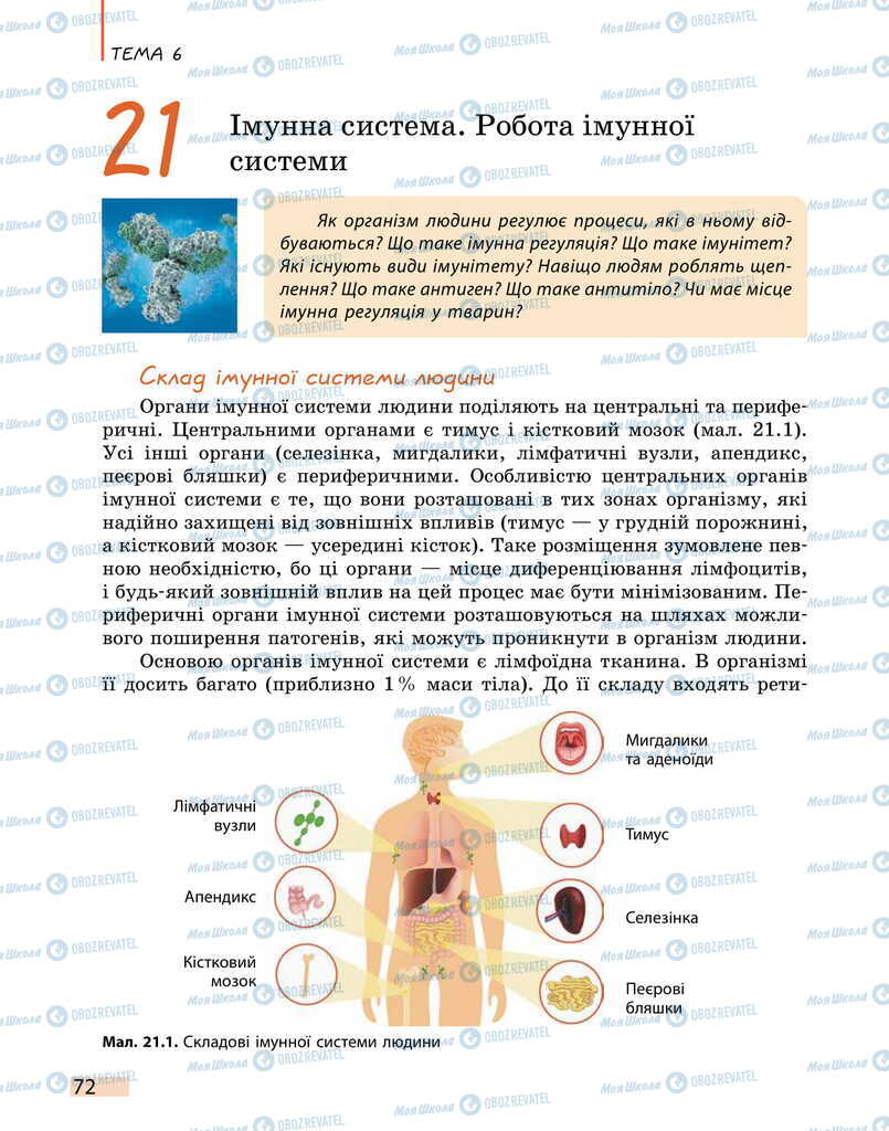 Підручники Біологія 11 клас сторінка 72