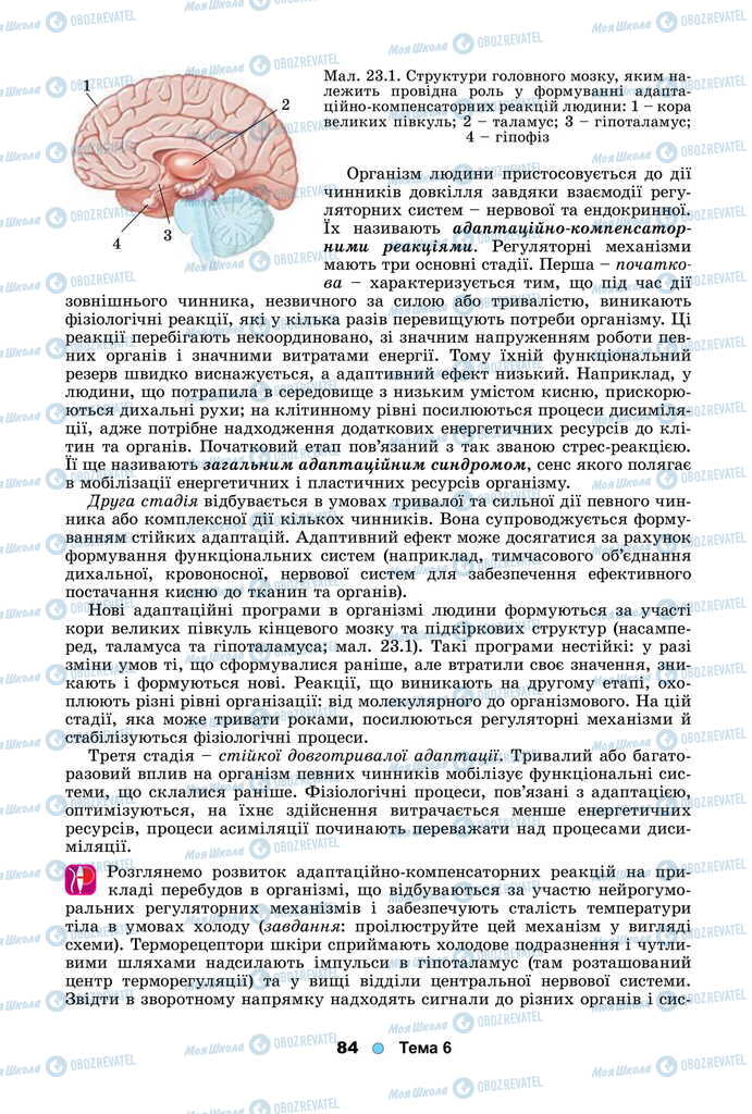 Учебники Биология 11 класс страница 84