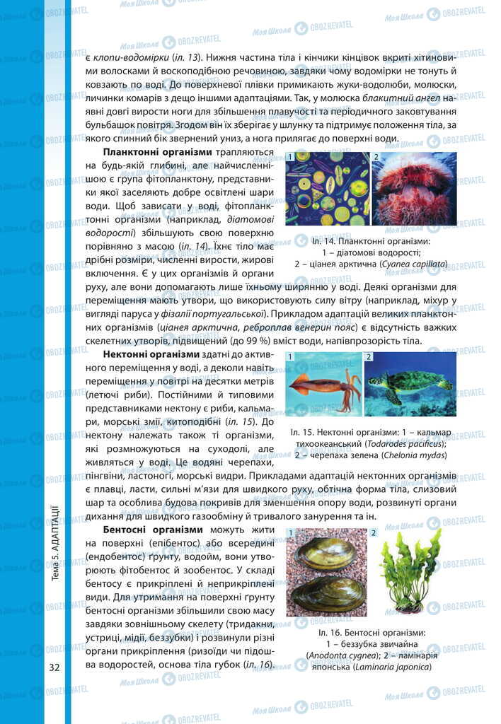 Підручники Біологія 11 клас сторінка 32