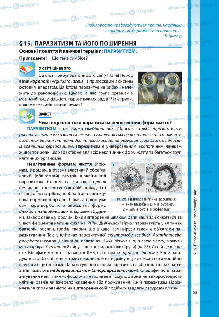 Підручники Біологія 11 клас сторінка 53