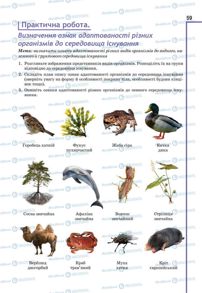 Підручники Біологія 11 клас сторінка 59