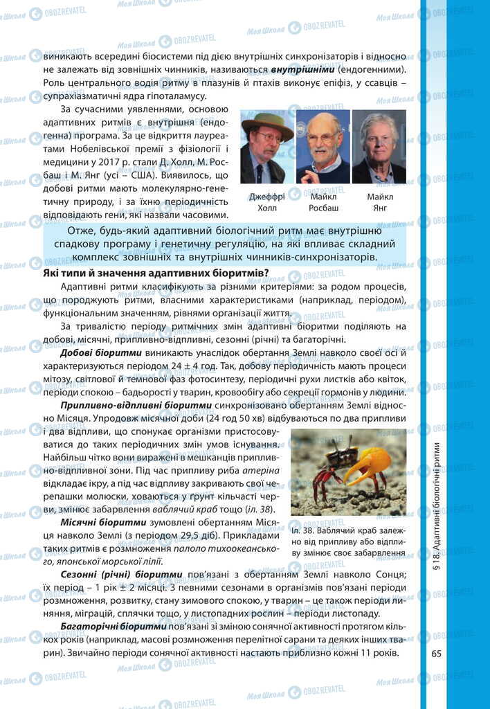 Підручники Біологія 11 клас сторінка 65