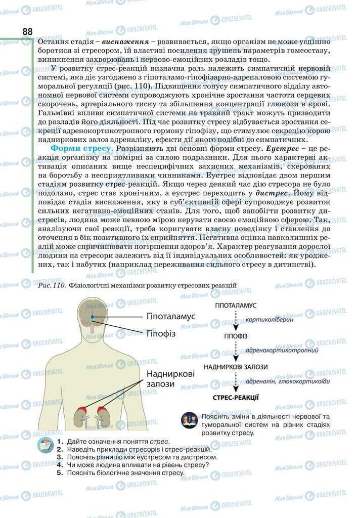 Підручники Біологія 11 клас сторінка 88