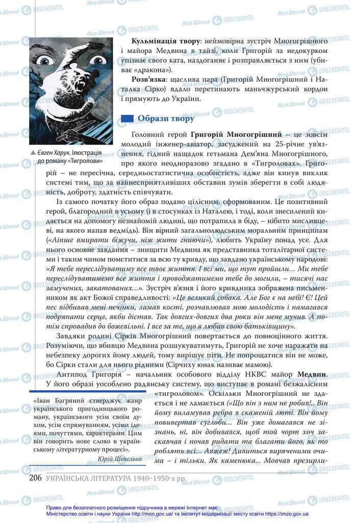 Підручники Українська література 11 клас сторінка 206