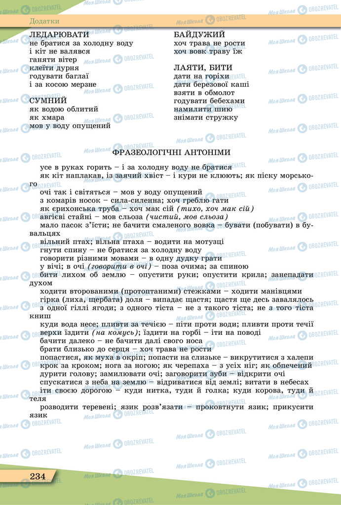 Підручники Українська мова 11 клас сторінка 234