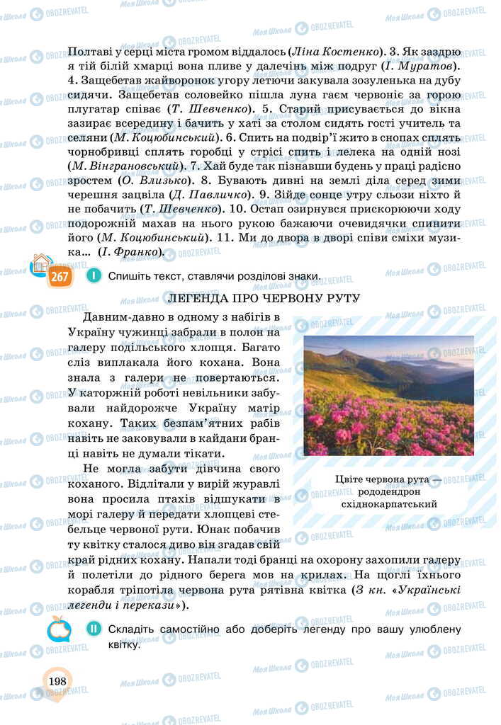 Підручники Українська мова 11 клас сторінка 198
