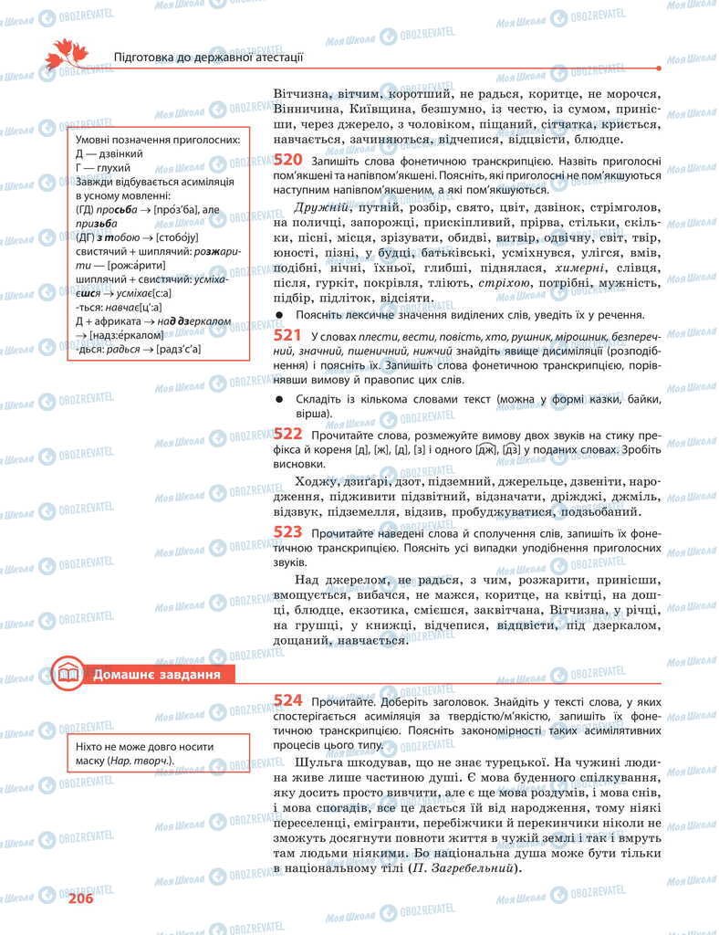 Підручники Українська мова 11 клас сторінка 206