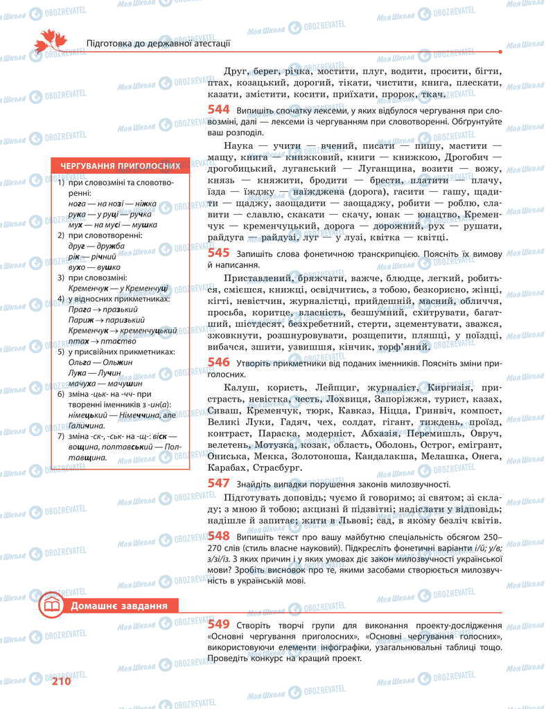 Підручники Українська мова 11 клас сторінка 210