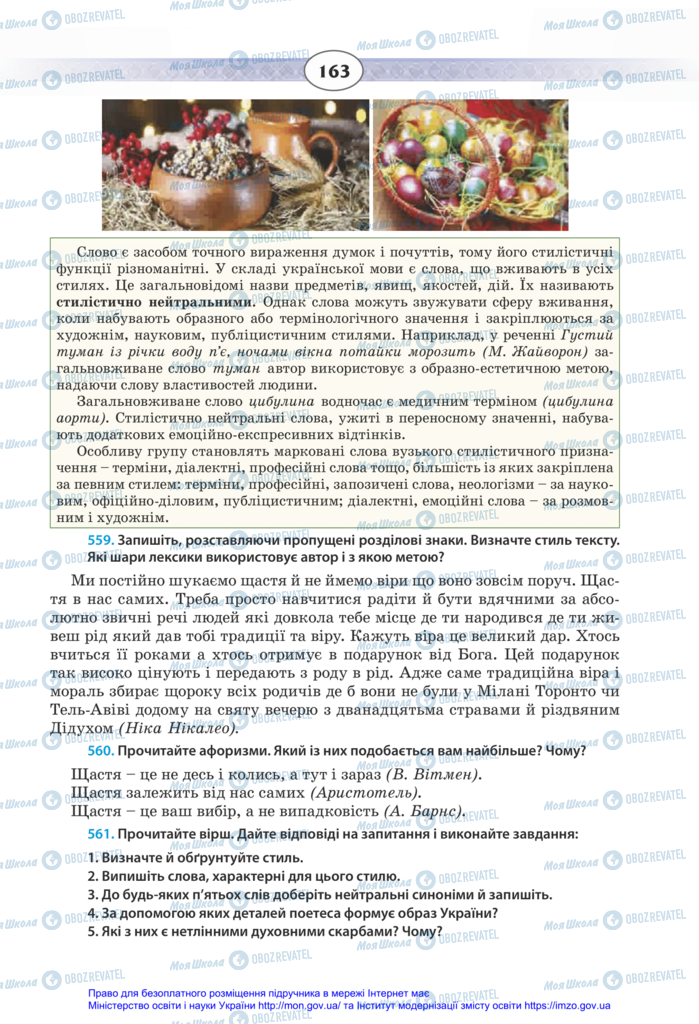 Підручники Українська мова 11 клас сторінка 163