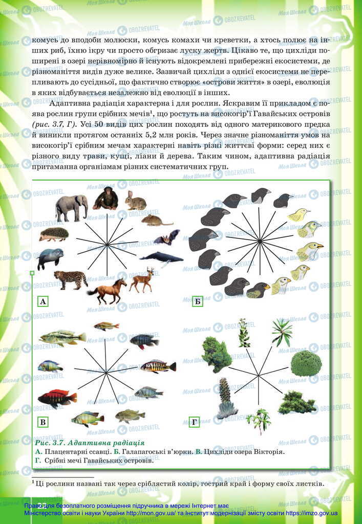 Учебники Биология 11 класс страница 22
