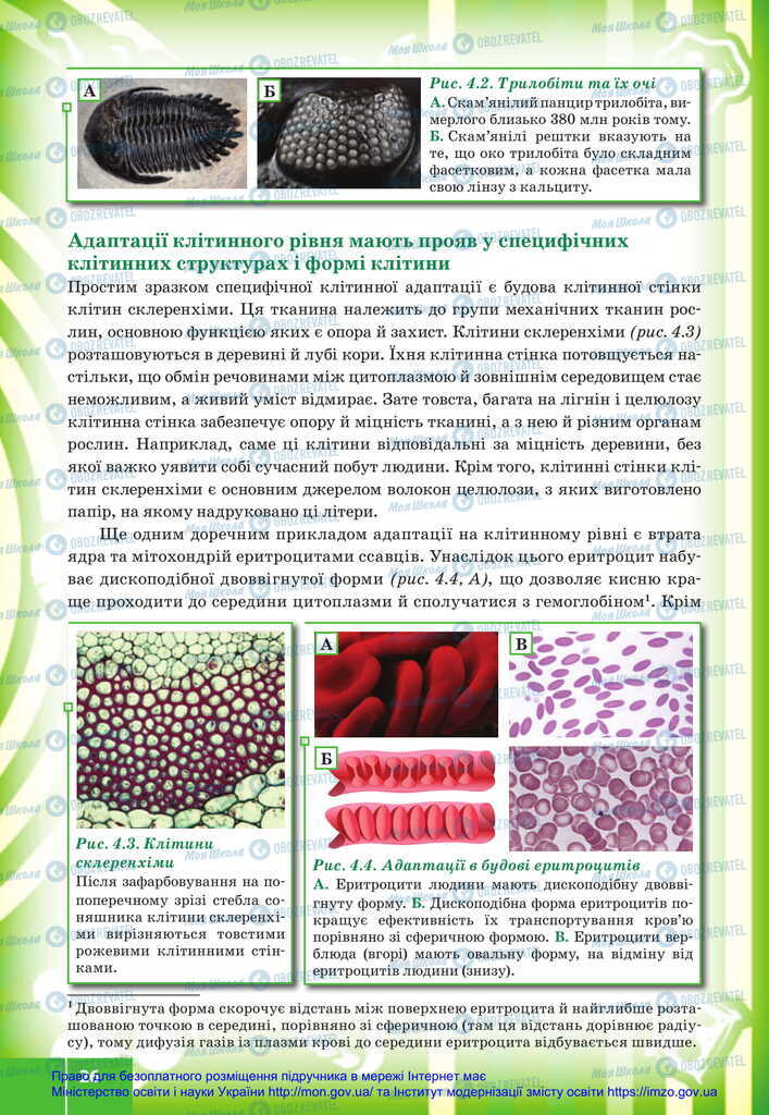 Підручники Біологія 11 клас сторінка 26