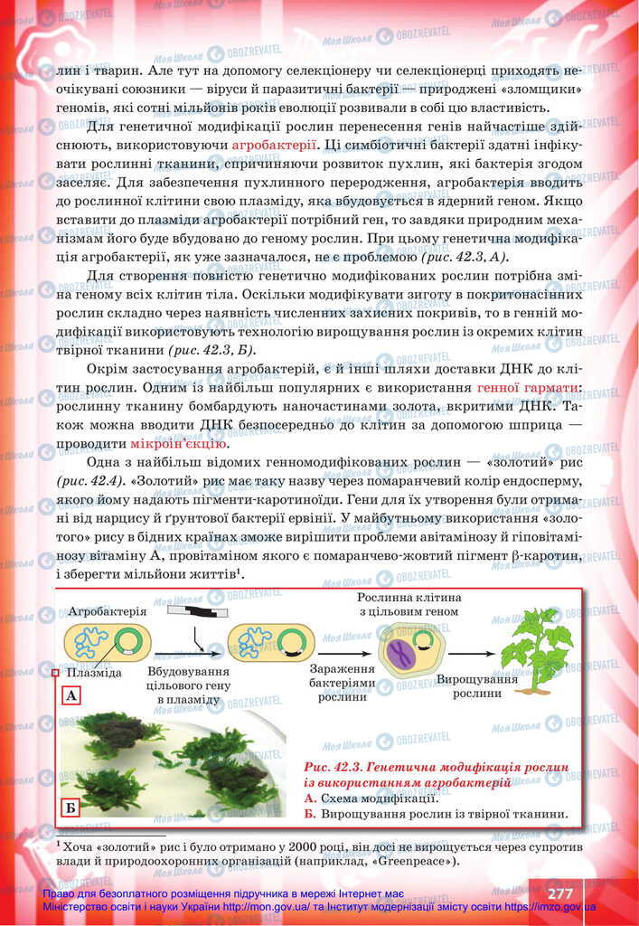 Підручники Біологія 11 клас сторінка 277