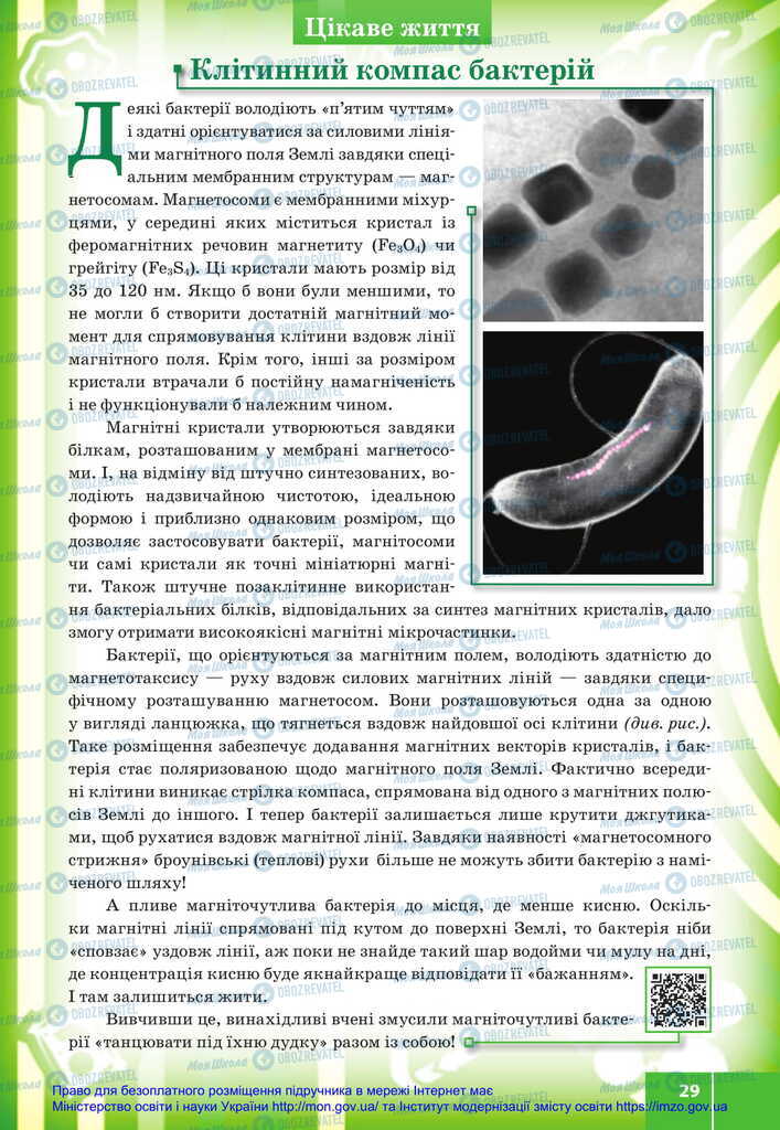 Підручники Біологія 11 клас сторінка 29