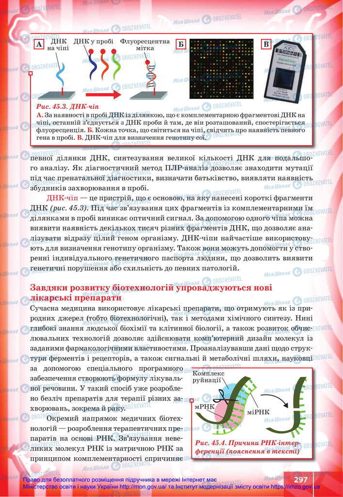 Підручники Біологія 11 клас сторінка 297